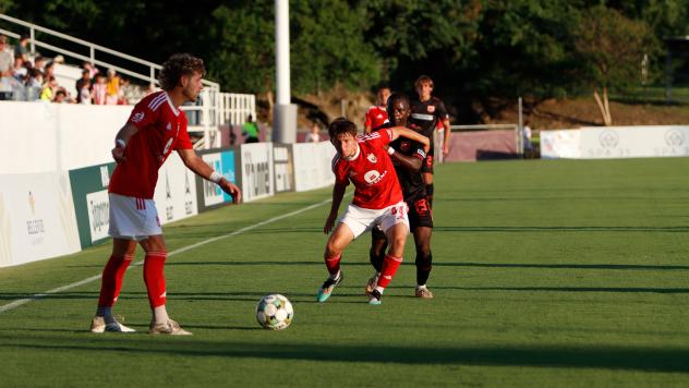 Phoenix Risings' Jamison Ping in action