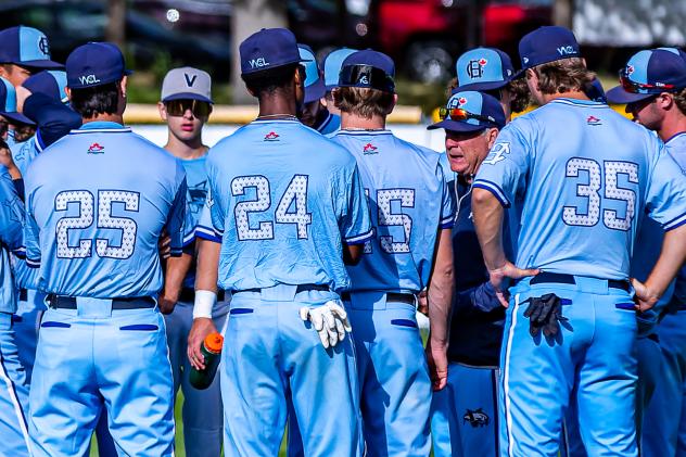 Victoria HarbourCats on game night