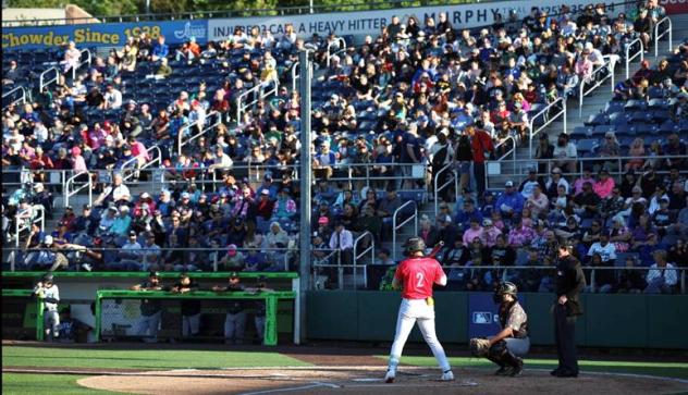 Everett AquaSox' Luis Suisbel at bat