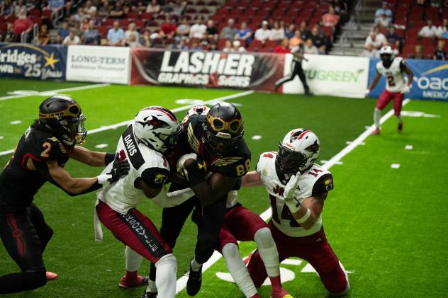 Jacksonville Sharks defense swarms the Iowa Barnstormers