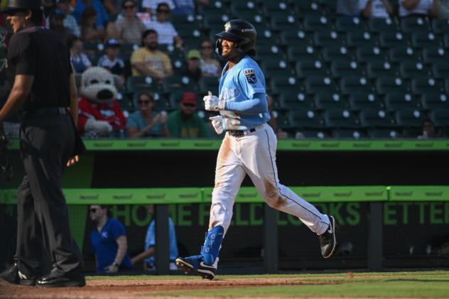 Henry Ramos of the Columbia Fireflies