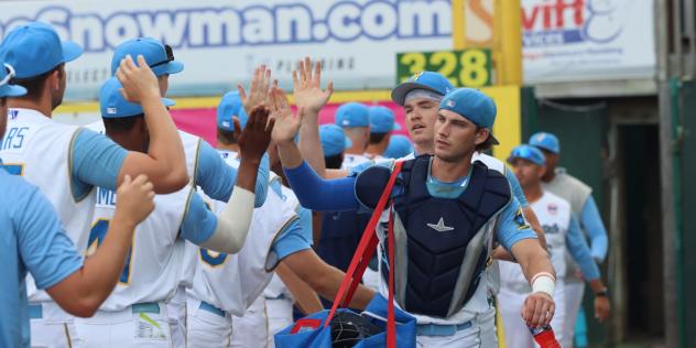 Myrtle Beach Pelicans exchange high fives