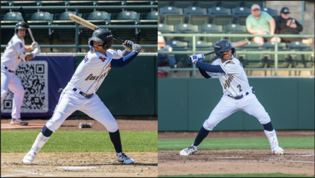 Tri-City Dust Devils shortstop Adrian Placencia