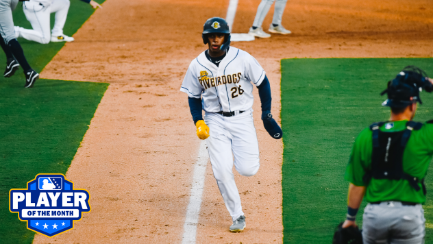 Charleston RiverDogs outfielder Angel Mateo