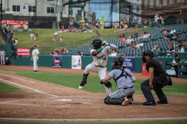 Greensboro Grasshoppers designated hitter Shalin Polanco
