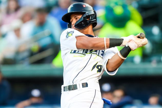 Asbel Gonzalez at bat for the Columbia Fireflies