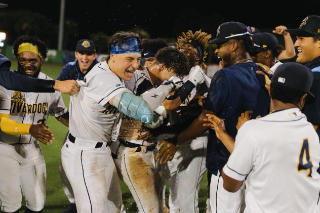 Charleston RiverDogs celebrate a walk-off win