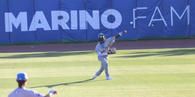 Myrtle Beach Pelicans throw the ball in from the outfield