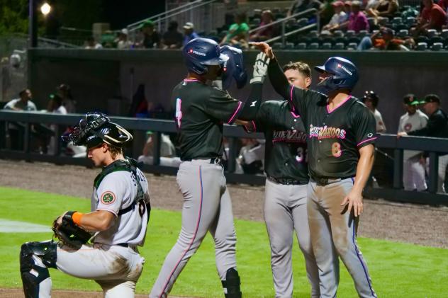 Pensacola Blue Wahoos celebrate at home plate