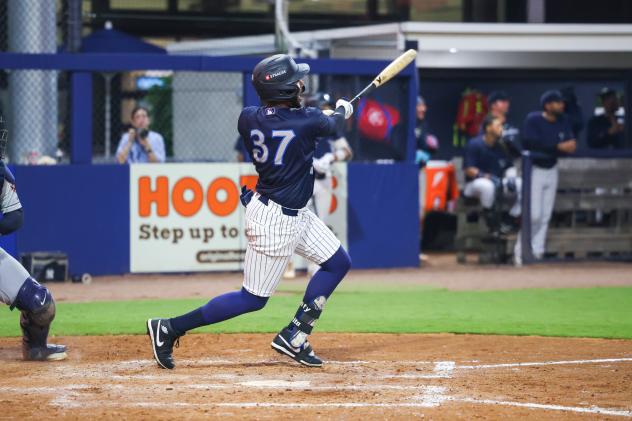 Tampa Tarpons outfielder Willy Montero