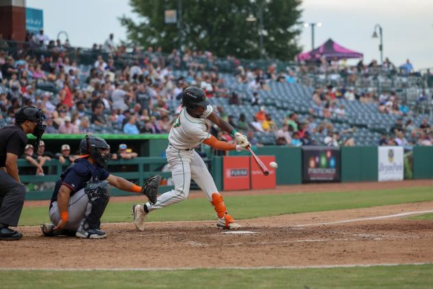 Greensboro Grasshoppers outfielder P.J. Hilson