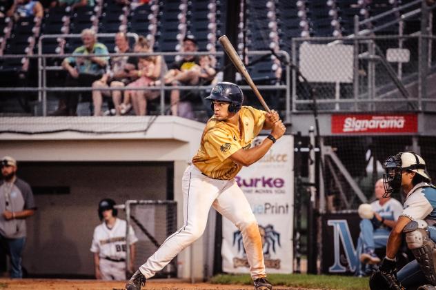 Fond du Lac Dock Spiders' James Hankerson Jr. at bat