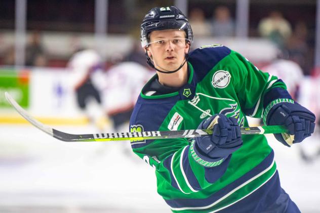 Maine Mariners forward Linus Hemstrom