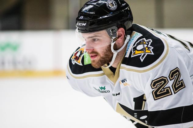 Defenseman Kevin Spinozzi with the Wheeling Nailers