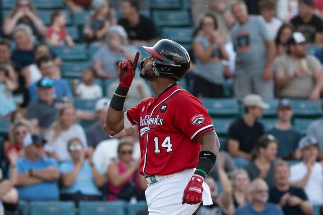 Fargo-Moorhead RedHawks' Jose Sermo
