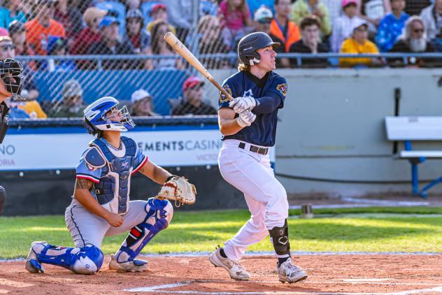 Victoria HarbourCats' Garrett Brooks at bat