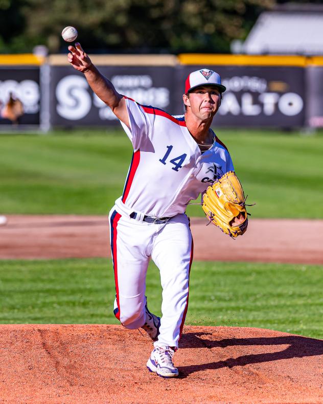 Victoria HarbourCats' Tommy Bridges in action