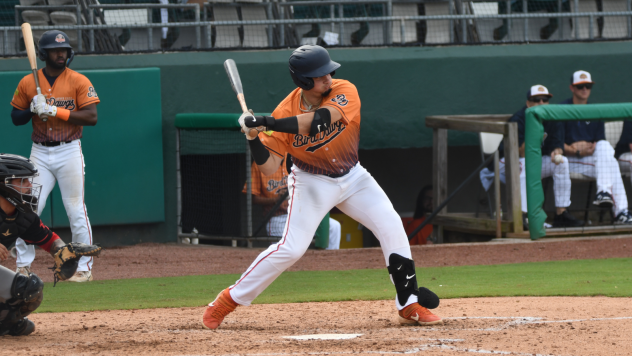 Down East Bird Dawgs at the plate