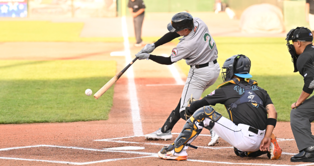 Long Island Ducks infielder Kole Kaler at bat