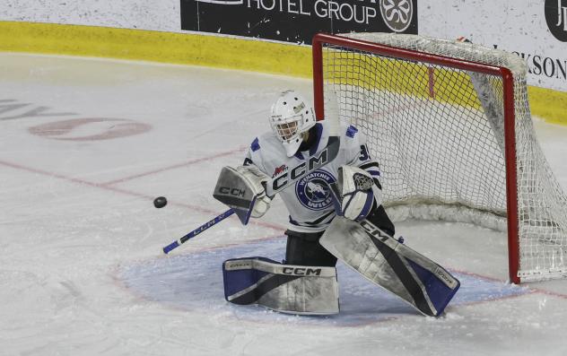 Wenatchee Wild goaltender Brendan Gee