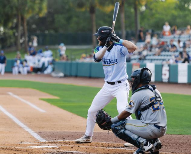 Charleston RiverDogs first baseman Ryan McCoy at bat