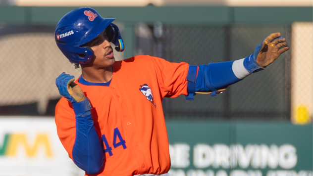 St. Lucie Mets outfielder Randy Guzman