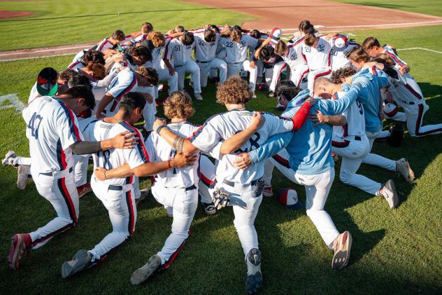 Victoria HarbourCats on game night