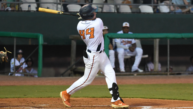 Down East Bird Dawgs first baseman Yassel Pino