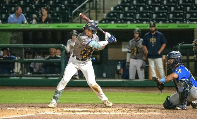 Charleston RiverDogs catcher Nathan Flewelling