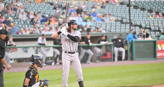 Long Island Ducks infielder Troy Viola