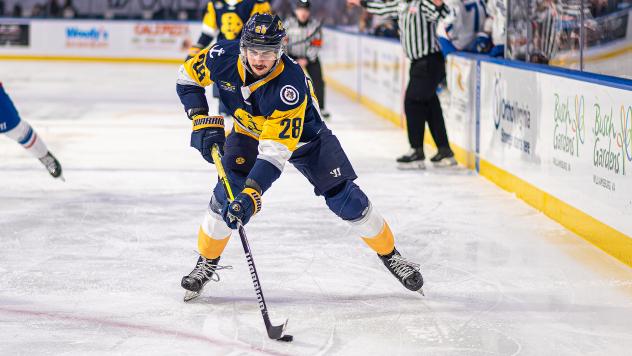 Norfolk Admirals forward German Yavash