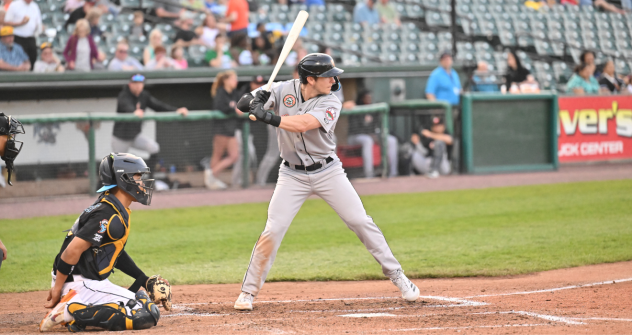 Long Island Ducks await a pitch