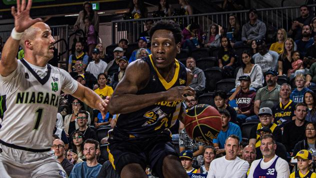 Niagara River Lions' Kimbal Mackenzie versus Edmonton Stingers' Scottie Lindsey