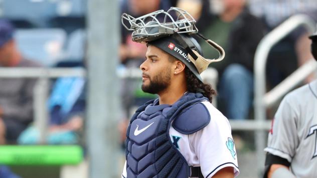 Everett AquaSox' Freuddy Batista