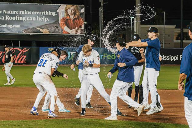 Biloxi Shuckers celebrate a walk-off win