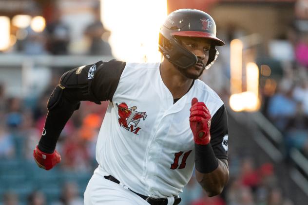 Fargo-Moorhead RedHawks infielder Jose Sermo