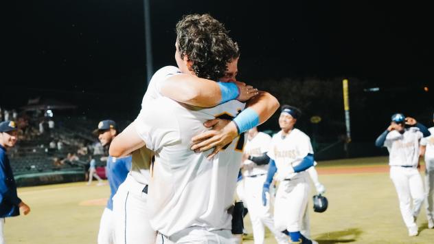 Charleston RiverDogs celebrate a walk-off win