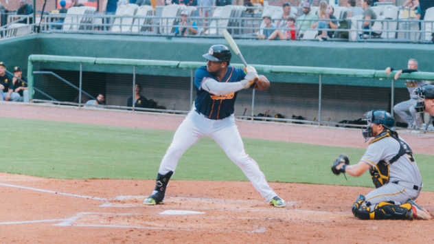 Down East Bird Dawgs at bat