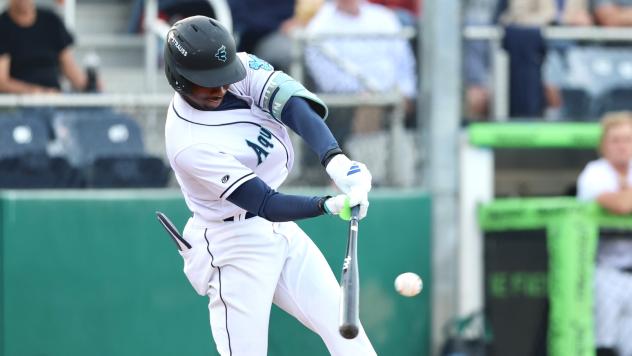 Felnin Celesten of the Everett AquaSox