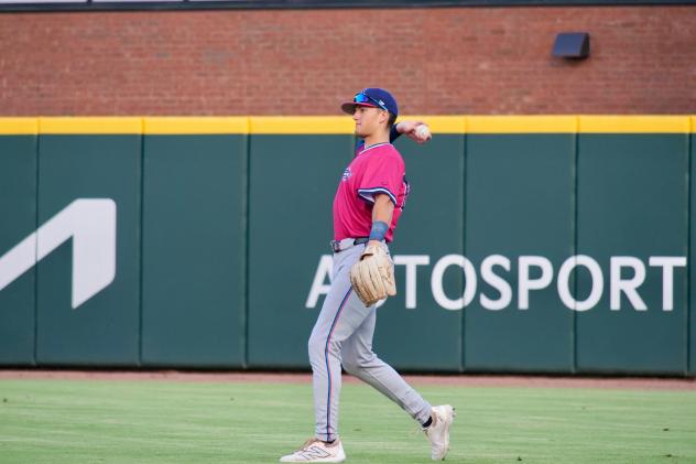 Pensacola Blue Wahoos in the field