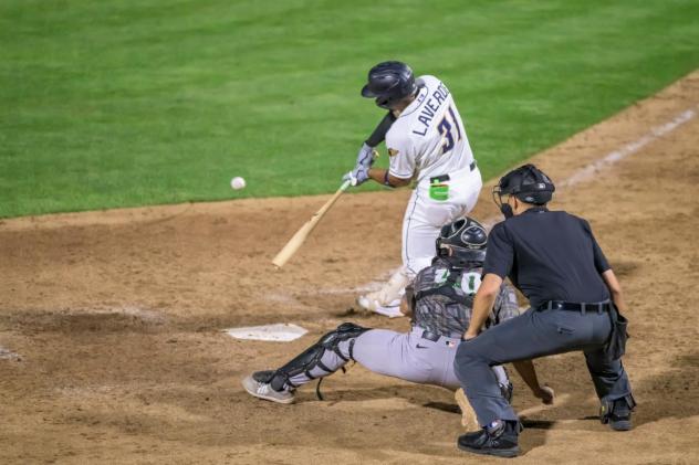 Tri-City Dust Devils catcher Dario Laverde at bat