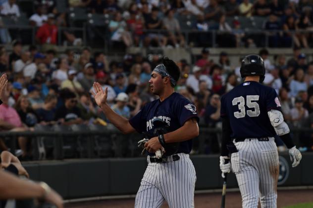 Jace Avina of the Somerset Patriots