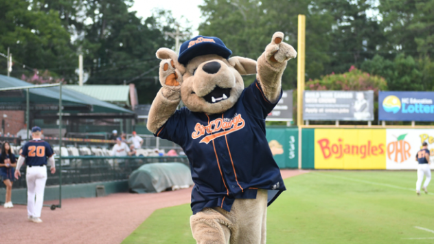 Down East Bird Dawgs mascot Rowdy