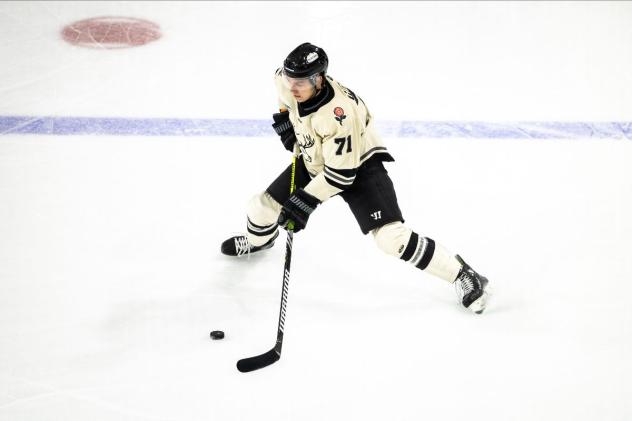 Wheeling Nailers Defenseman Bogdans Hodass