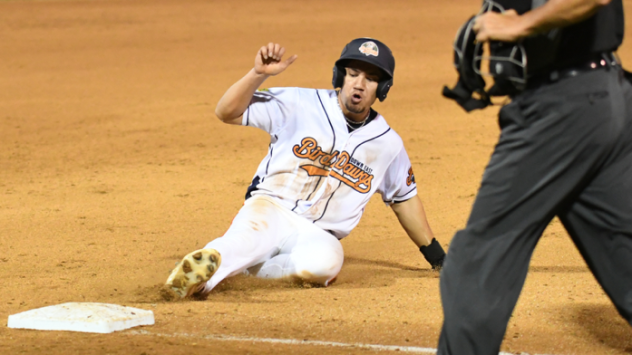 Down East Bird Dawgs slide into third