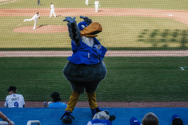 Biloxi Shuckers mascot Schooner