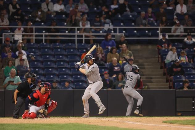Tyler Hardman of the Somerset Patriots at bat