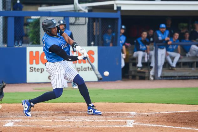 Willy Montero of the Tampa Tarpons