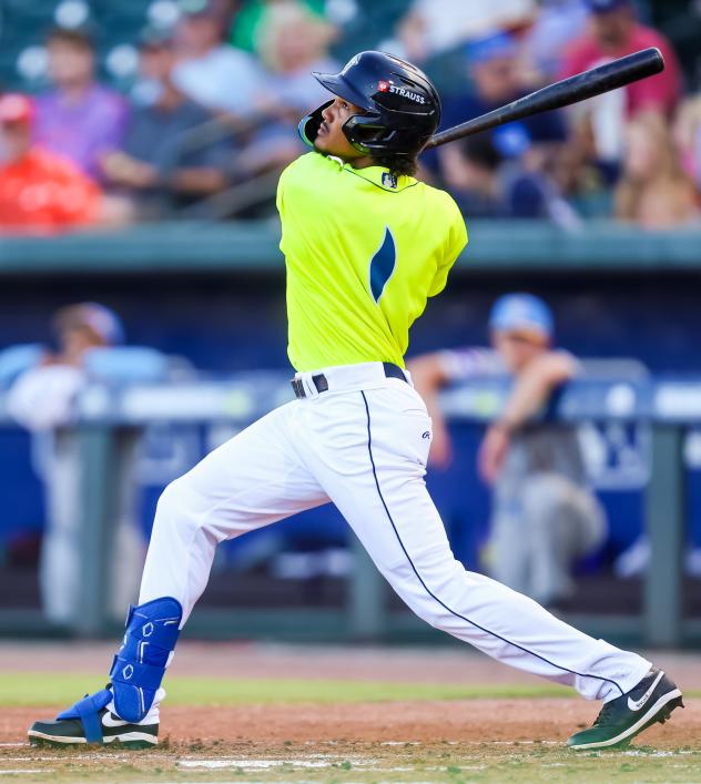 Henry Ramos of the Columbia Fireflies