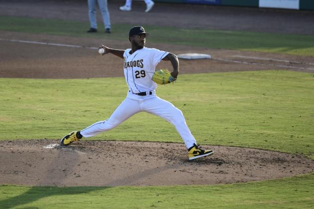 Charleston RiverDogs pitcher Jose Urbina